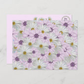 Mooi Roze en Wit Daisy Bloemen Briefkaart (Voorkant / Achterkant)