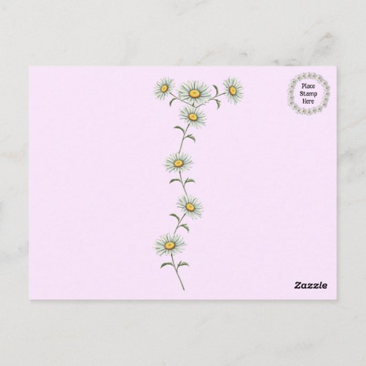 Mooi Roze en Wit Daisy Bloemen Briefkaart (Achterkant)