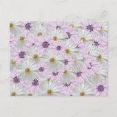 Mooi Roze en Wit Daisy Bloemen Briefkaart (Voorkant)