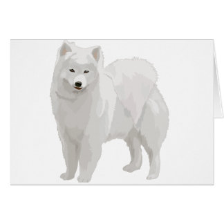 Mooi Samoyed