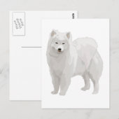 Mooi Samoyed Briefkaart (Voorkant / Achterkant)