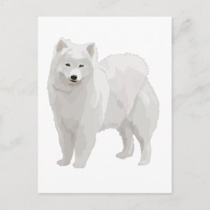 Mooi Samoyed Briefkaart