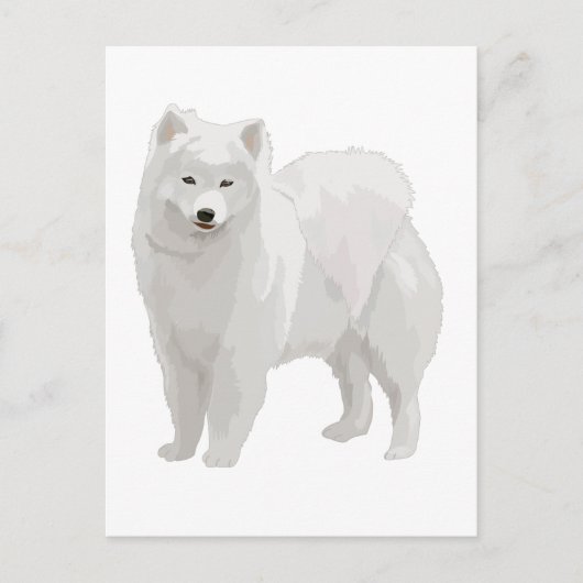 Mooi Samoyed Briefkaart (Voorkant)