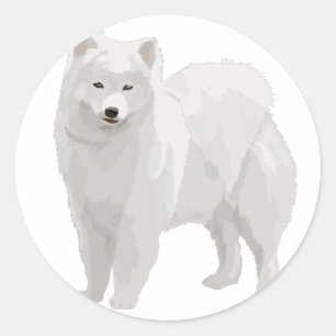 Mooi Samoyed Ronde Sticker
