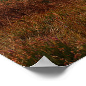 Mooi Schotland, Glenfinnan Monument Poster (Hoek)