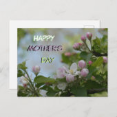 Mooi Serene Blossoms Moederdag Briefkaart (Voorkant / Achterkant)