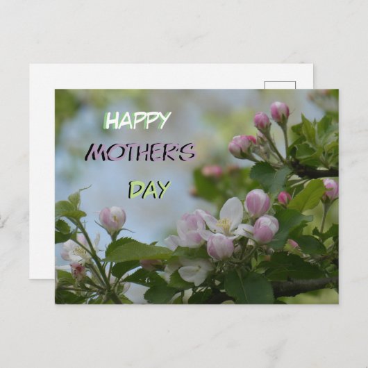 Mooi Serene Blossoms Moederdag Briefkaart (Voorkant / Achterkant)