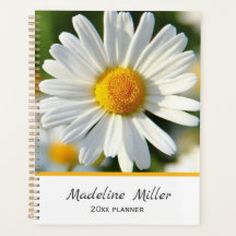 Mooi Shasta Daisy | Gepersonaliseerde Floral