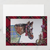 Mooi shows paard, geruite en distel collectie feestdagenkaart (Voorkant / Achterkant)