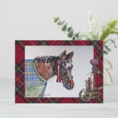 Mooi shows paard, geruite en distel collectie feestdagenkaart (Staand voorkant)
