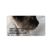 Mooi Siamees Kat Etiket (Voorkant)