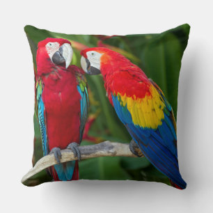 Mooi Sierkussen met Macaw Couple