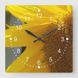 Mooi Sluiten Zonnebloem Vierkante Klok
