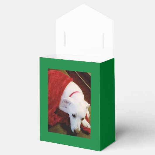 Mooi Snowy White Puppy Dog Green Kerstmis Bedankdoosjes (Geopend)