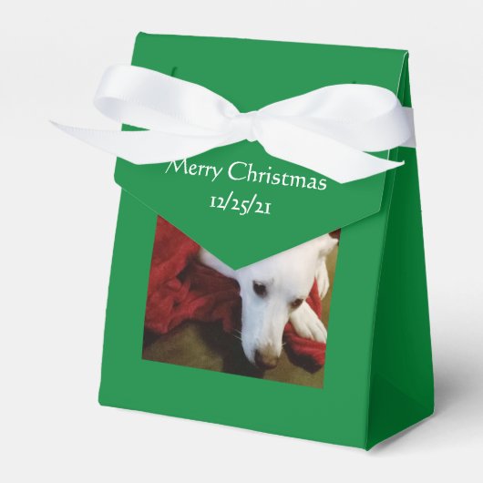Mooi Snowy White Puppy Dog Green Kerstmis Bedankdoosjes (Voorkant Zijde)