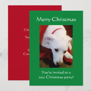 Mooi Snowy White Puppy Dog Green Kerstmis Kaart