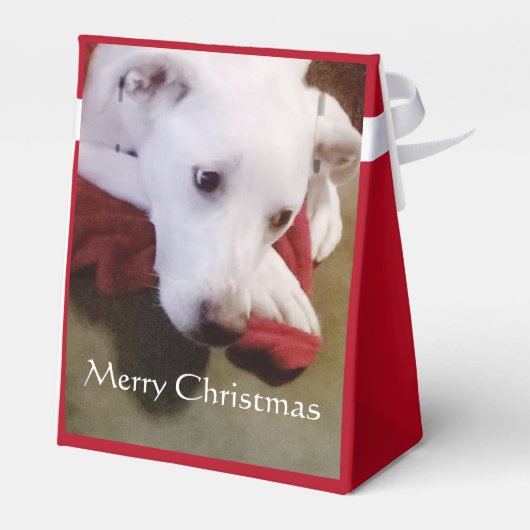 Mooi Snowy White Puppy Dog Red Kerstmis Bedankdoosjes (Achterkant)