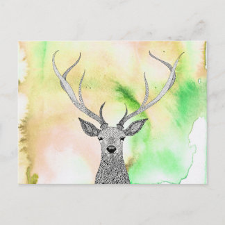Mooi Stag Briefkaart