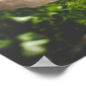 Mooi strand poster (Hoek)