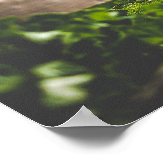 Mooi strand poster (Hoek)