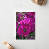 Mooi strand zoete erwt notitiekaartje (Voorkant / Achterkant in situ)