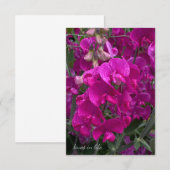 Mooi strand zoete erwt notitiekaartje (Voorkant / Achterkant)