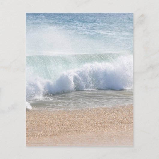 Mooi strand zomer tropische bruiloft menu (Achterkant)