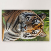 Mooi Tijger Profiel Legpuzzel (Horizontaal)