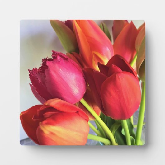 Mooi Tulip Bouquet Fotoplaat (Voorkant)