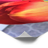 Mooi Tulip Bouquet Poster (Hoek)