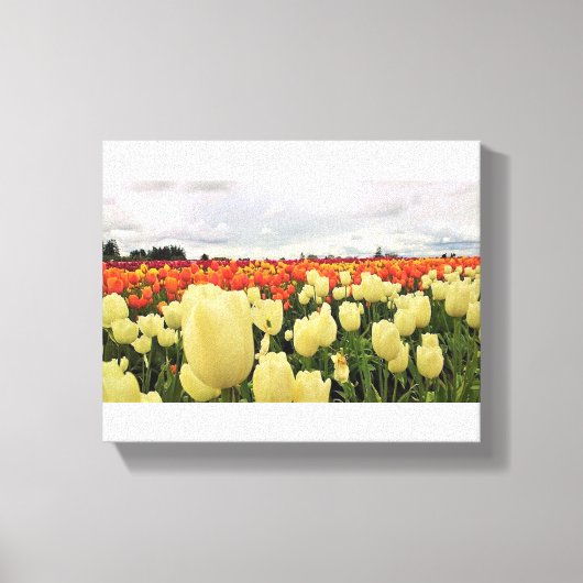 Mooi Tulp Field, Oregon Canvas Afdruk (Voorkant)