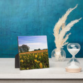 Mooi Tulp Field, Oregon Fotoplaat (Insitu)