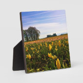 Mooi Tulp Field, Oregon Fotoplaat (Voorkant)