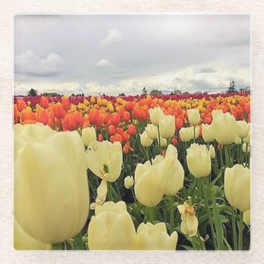 Mooi Tulp Field, Oregon Glazen Onderzetter (Voorkant)