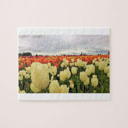 Mooi Tulp Field, Oregon Legpuzzel (Horizontaal)