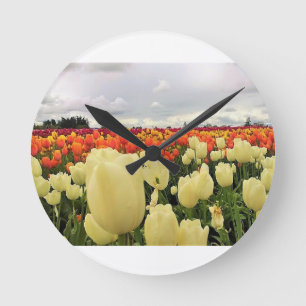 Mooi Tulp Field, Oregon Ronde Klok
