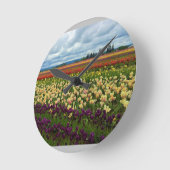Mooi Tulp Field, Oregon Ronde Klok (Hoek)
