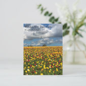Mooi Tulp-veld, oregon-Briefkaart Briefkaart (Staand voorkant)