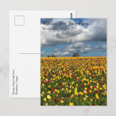 Mooi Tulp-veld, oregon-Briefkaart Briefkaart (Voorkant / Achterkant)