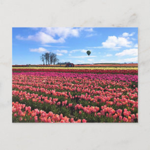 Mooi Tulpveld met een luchtballon, Oregon Briefkaart