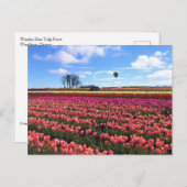 Mooi Tulpveld met een luchtballon, Oregon Briefkaart (Voorkant / Achterkant)