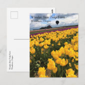 Mooi Tulpveld met een luchtballon, Oregon Briefkaart (Voorkant / Achterkant)