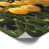 Mooi Tulpveld met een luchtballon, Oregon Poster (Hoek)