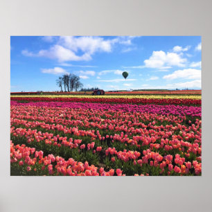 Mooi Tulpveld met een luchtballon, Oregon Poster