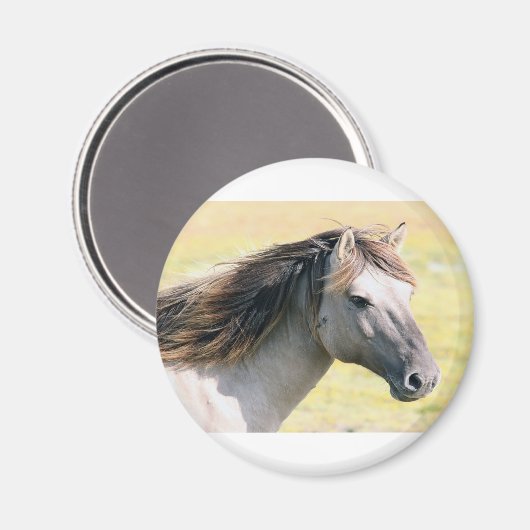Mooi uitziend paard magneet (Voorkant / Achterkant)