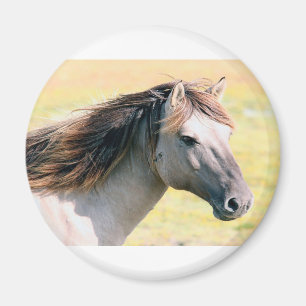 Mooi uitziend paard magneet