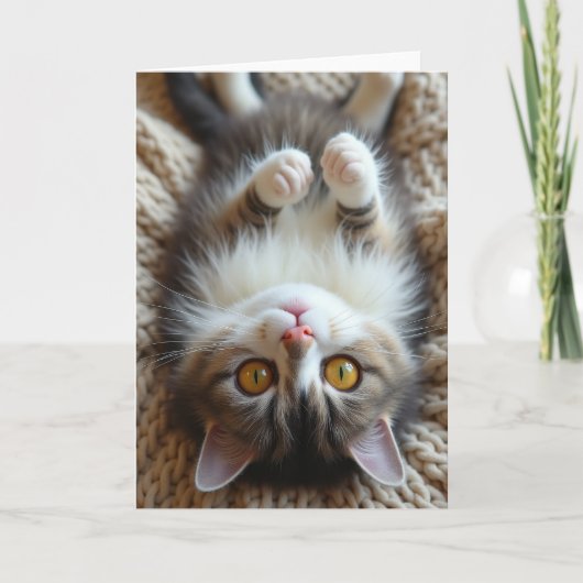 Mooi Vaderdag Katachtige Pose Kaart (Voorkant)