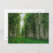 Mooi vogelbos briefkaart (Voorkant / Achterkant)