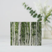 Mooi vogelbos briefkaart (Staand voorkant)