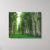 Mooi vogelbos canvas afdruk (Voorkant)